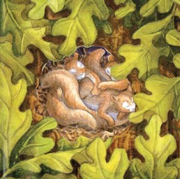 Last Song: A Lullaby