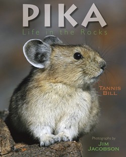 Pika: Life in The Rocks