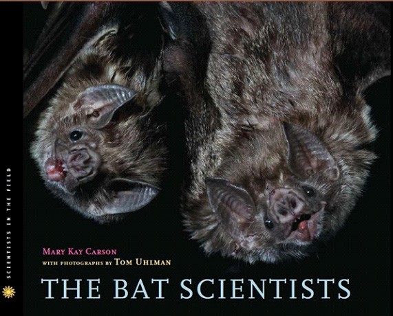 The Bat Scientists (Scientists in the Field)