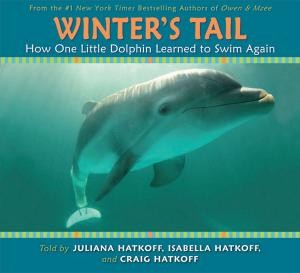 Winter’s Tail: How One Little Dolphin Learned To Swim Again