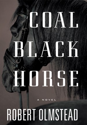 Coal Black Horse