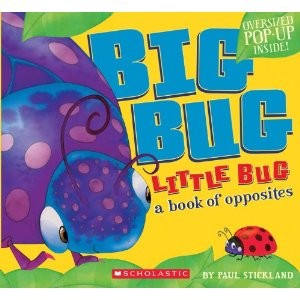 Big Bug Little Bug: A Book of Opposites