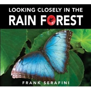 Looking Closely in the Rain Forest
