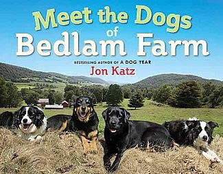 Meet the Dogs of Bedlam Farm