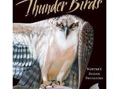Thunder Birds  Nature’s Flying Predators