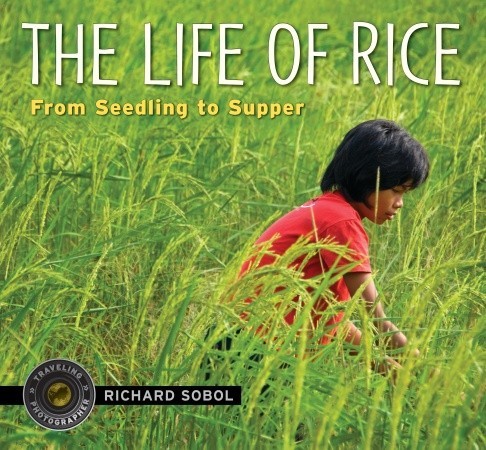 Life of Rice: From Seedling to Supper