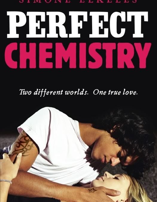 Perfect Chemistry