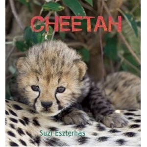 Cheetah  (Eye on the Wild)