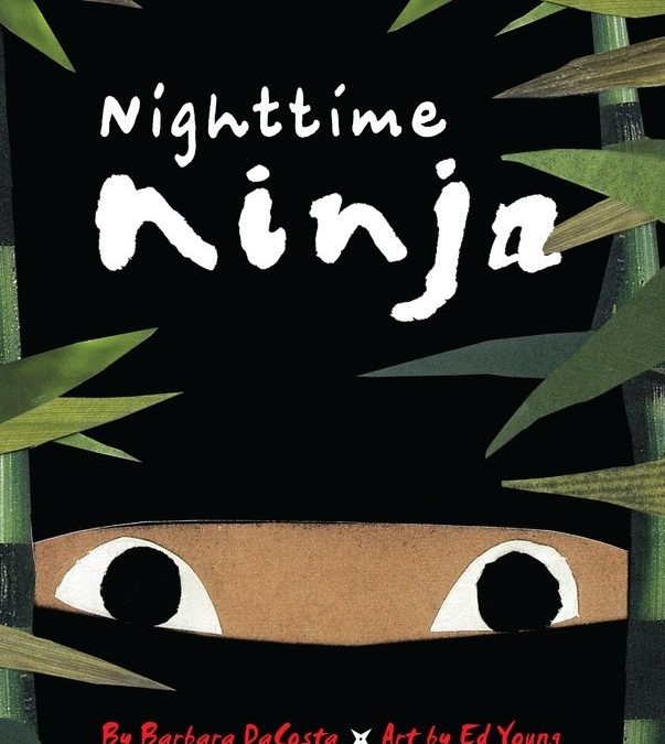 Nighttime Ninja