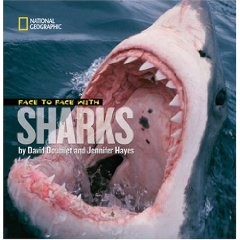 Face to Face With Sharks