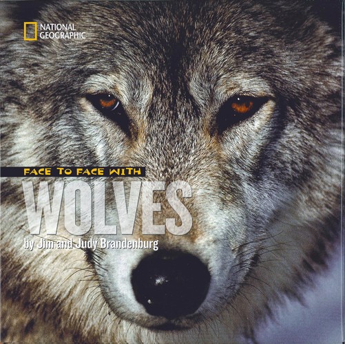 Face to Face With Wolves