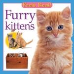 Feels Real:  Furry Kittens