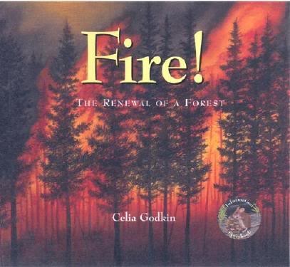 Fire!  The Renewal of a Forest