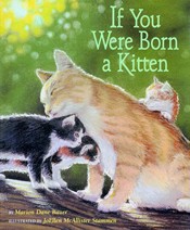If You Were Born A Kitten