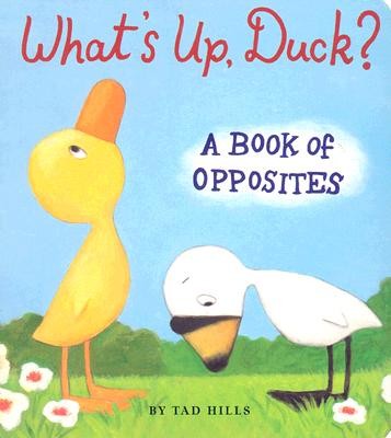Duck and Goose  What’s Up Duck?  A Book of Opposites