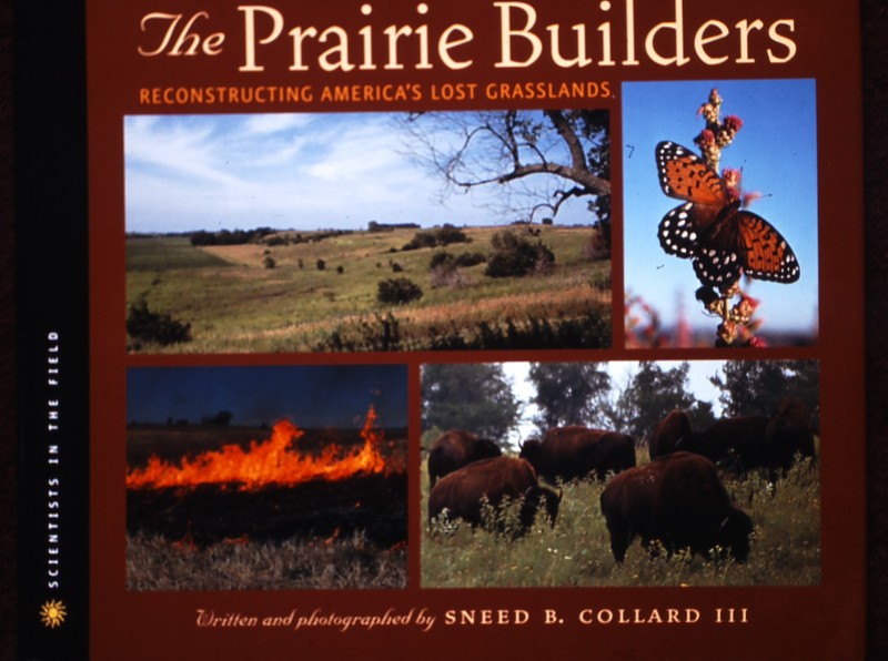 Prairie Builders:  Reconstructing America’s Lost Grasslands (Scientists in the Field Series)