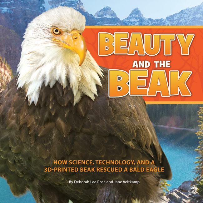 Beauty And The Beak How Science Technology And A 3D Printed Beak